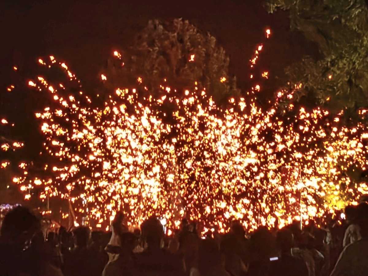 夏夜伊滨中央公园 原作/梁立锋（图11）