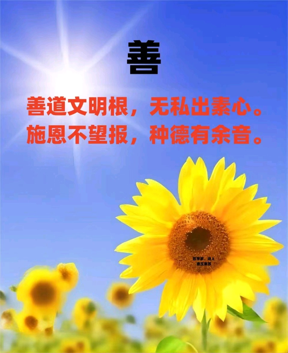 【荣耀中国】文学社*五维植根,诗魂铸碑——唐王紫苏《五维精神颂歌》(图4)
