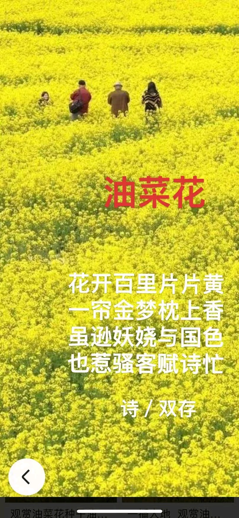 【故道文化·题画诗·9053】张双存作品（图11）