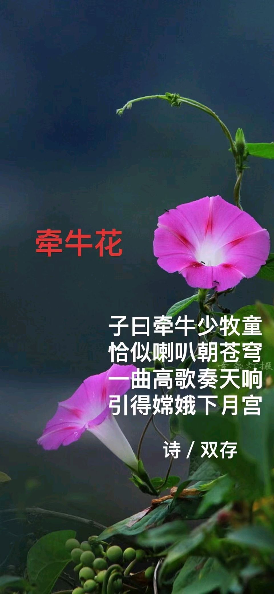 【故道文化·题画诗·9053】张双存作品（图8）