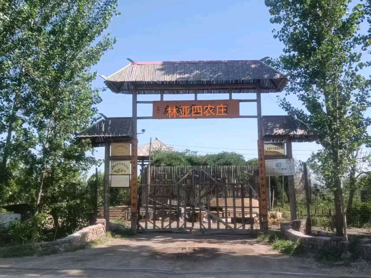 《农庄,休闲娱乐的好去处》联机全球发布黎耀秀作品欣赏(图3)