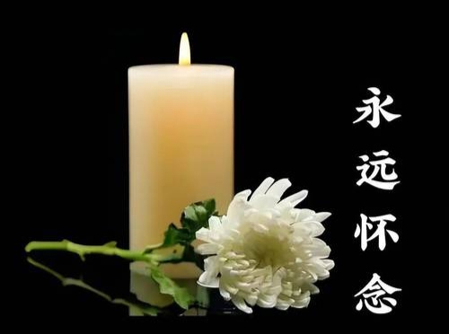 【五言古体诗】《古风挽姨——写在大姨仙逝二七之际》作者: 强军/陕西宝鸡(图2)