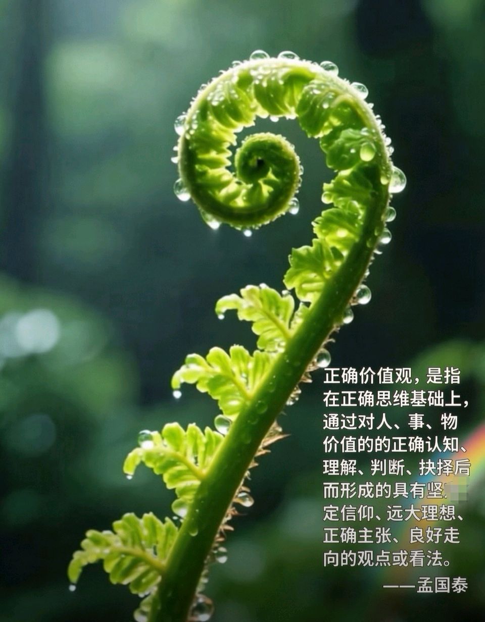 从个体出发新教育视域下正确价值观的建构范式