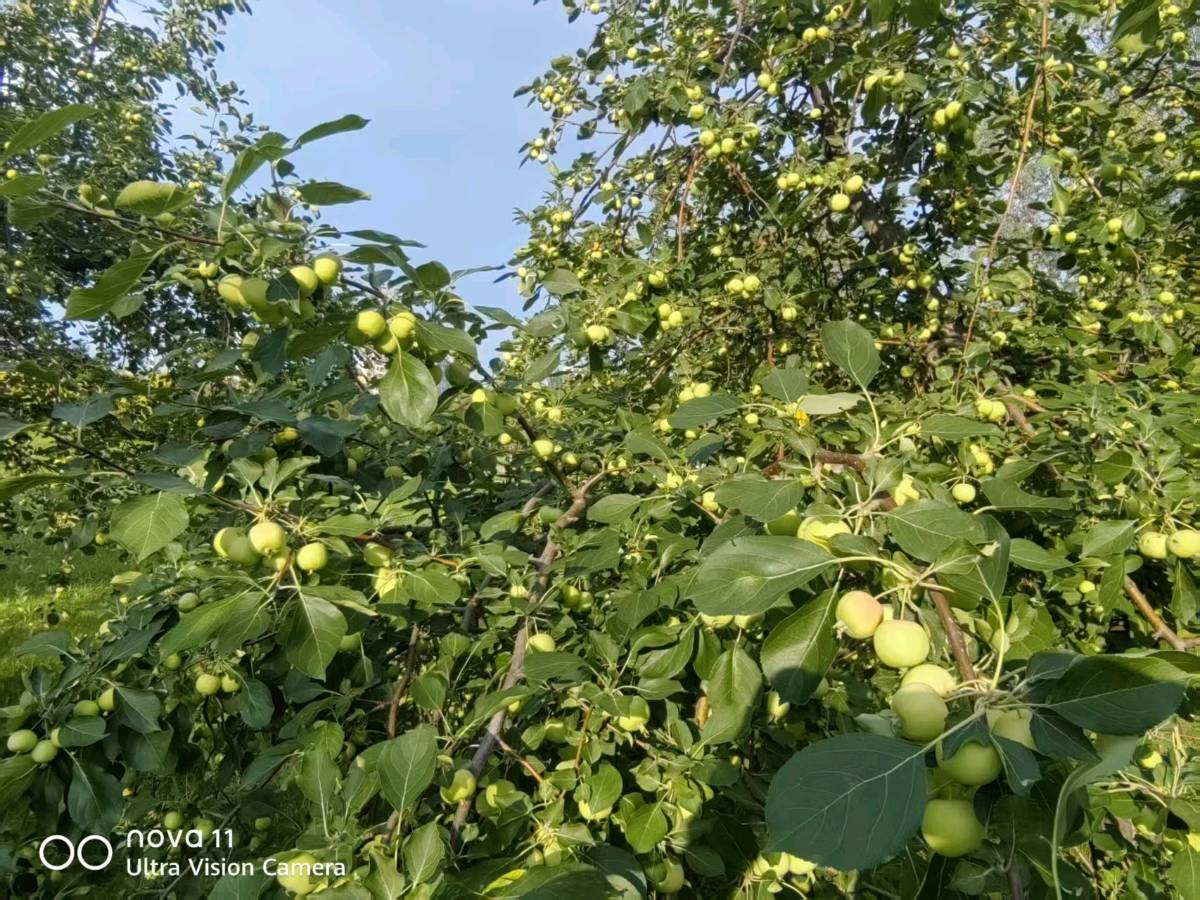 【诗生活】古韵飘香第348期|题图(图5)