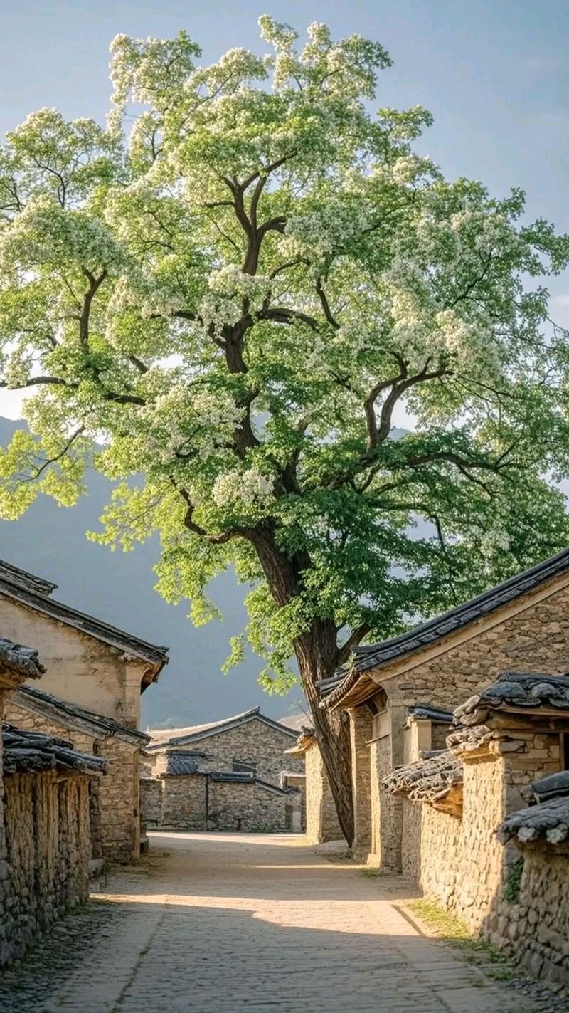 【燕赵文学】散文：怀念故乡（河北/刘乙苏）