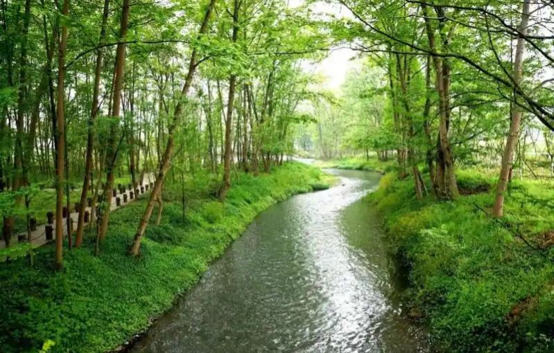 【新山东文学社】《家乡那条河》作者/童华 主播/雨花石(图3)