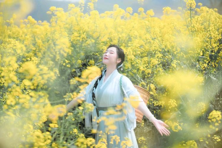 雁落孤峰天向晚,故人约寓夜将阑/三木秉凤诗文选(图3)