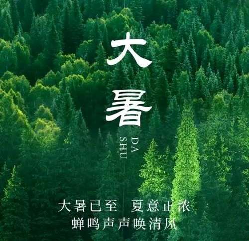 《山水怡情》文学社NO36 大暑炎天渗荷香(图14)