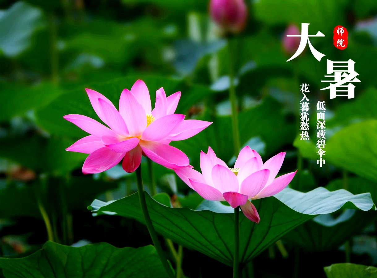 【北京头条】钱两文诗歌专辑022期(图4)