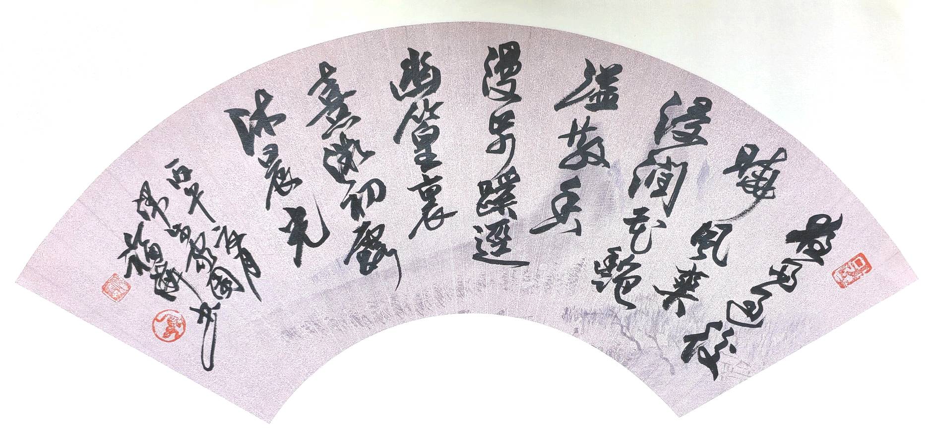 家园的早晨