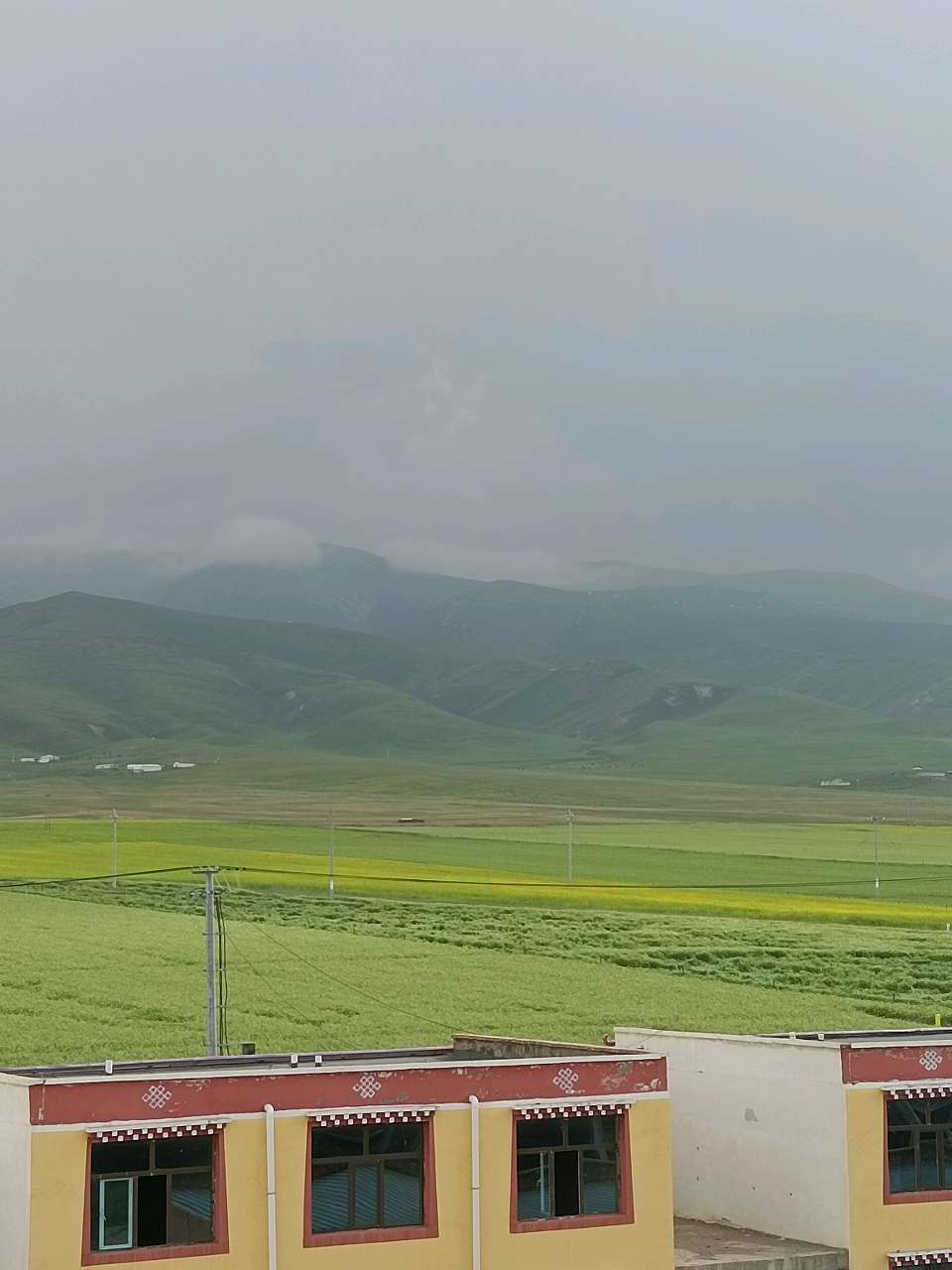 作家美文 杨占礼诗歌 草原(图2)