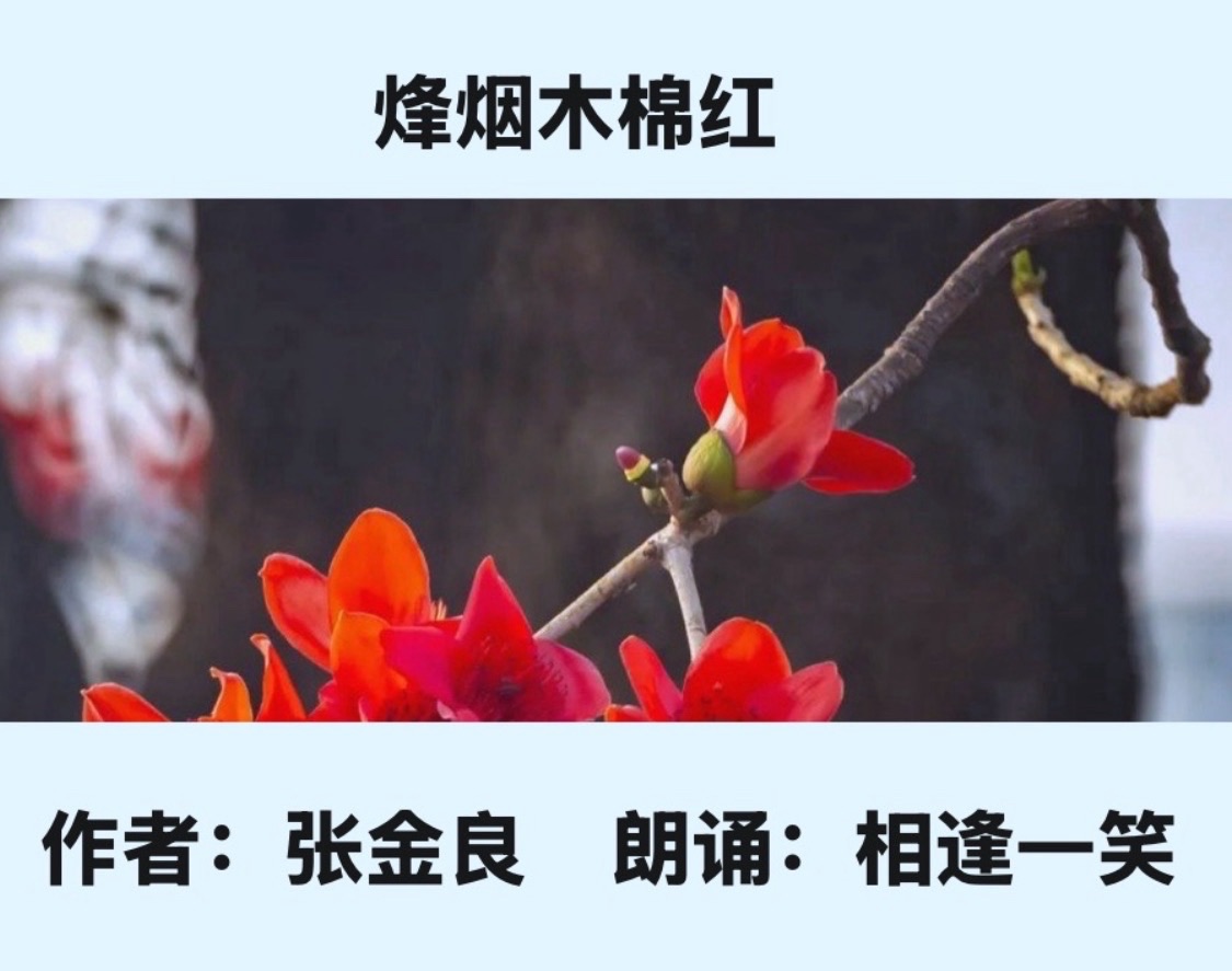 【八一专刊】组诗:木棉花下|作者:张金良 朗诵:卓然艺术联盟主播团(总3547期)(图16)
