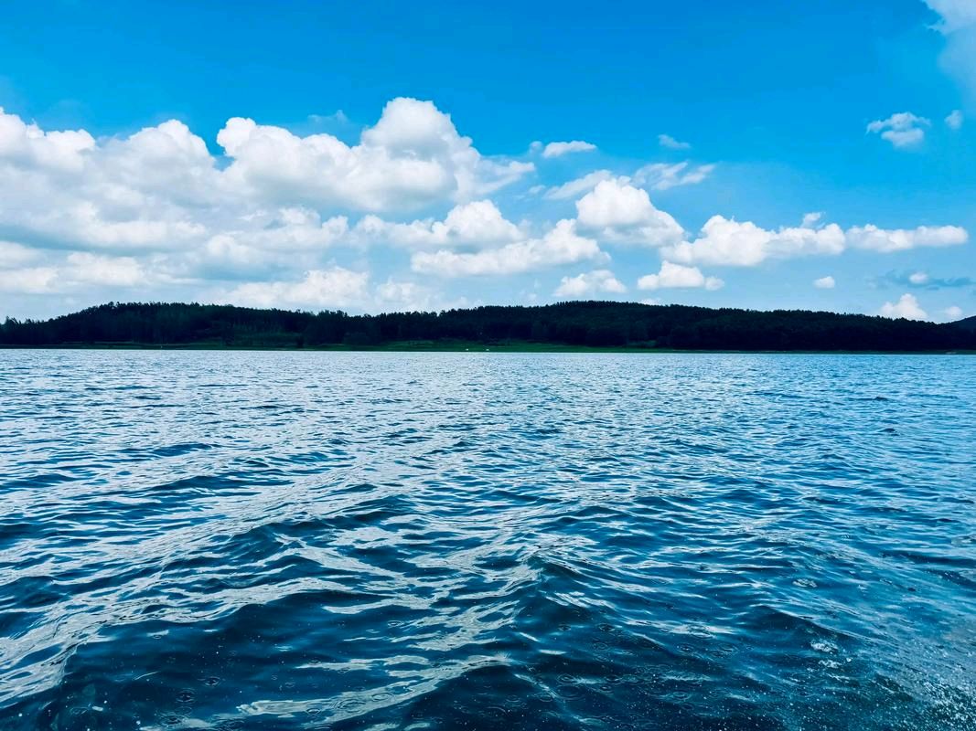 陈正的《夏日铜山湖游记》(图9)