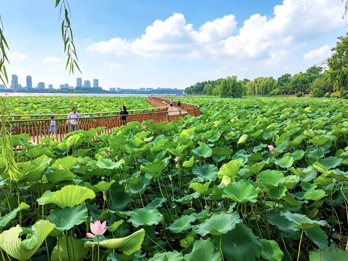 浪淘沙·夏日抒怀金夜（兰州）（图3）