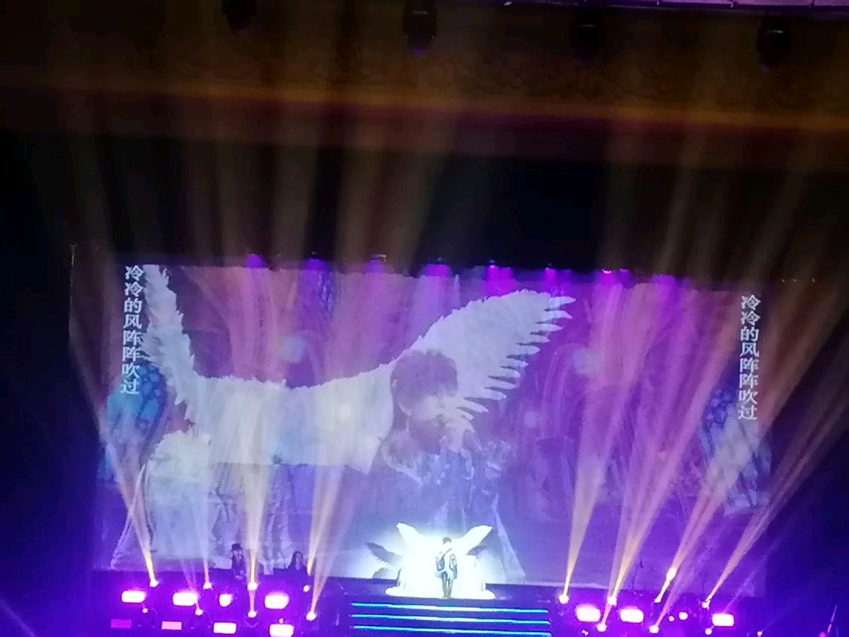 昨夜星辰美辰回家
