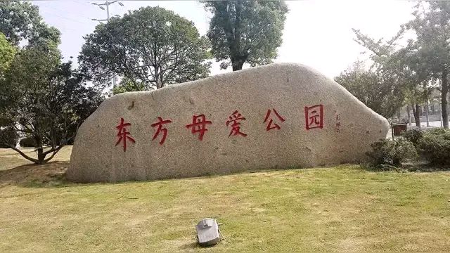 微型散文诗《古黄河畔母爱长歌》