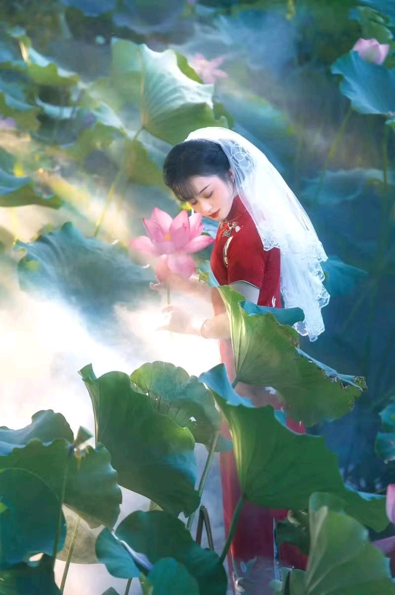 七律-六月荷花～李宣财（福建）（图19）