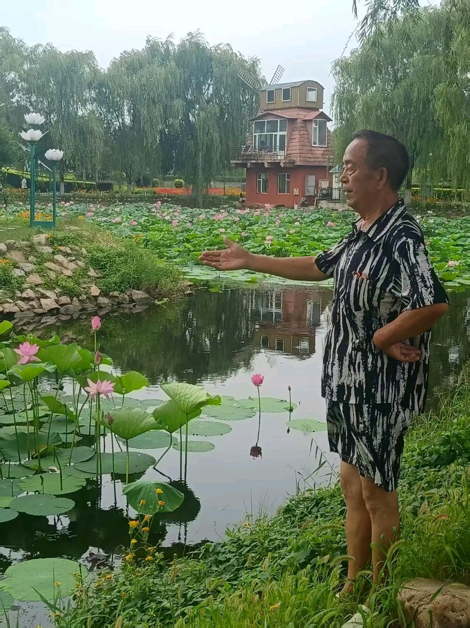 《中华好诗词》分享优秀作家诗人姚树学先生《赞九台新州夏日荷花五首》敬请雅鉴(图4)