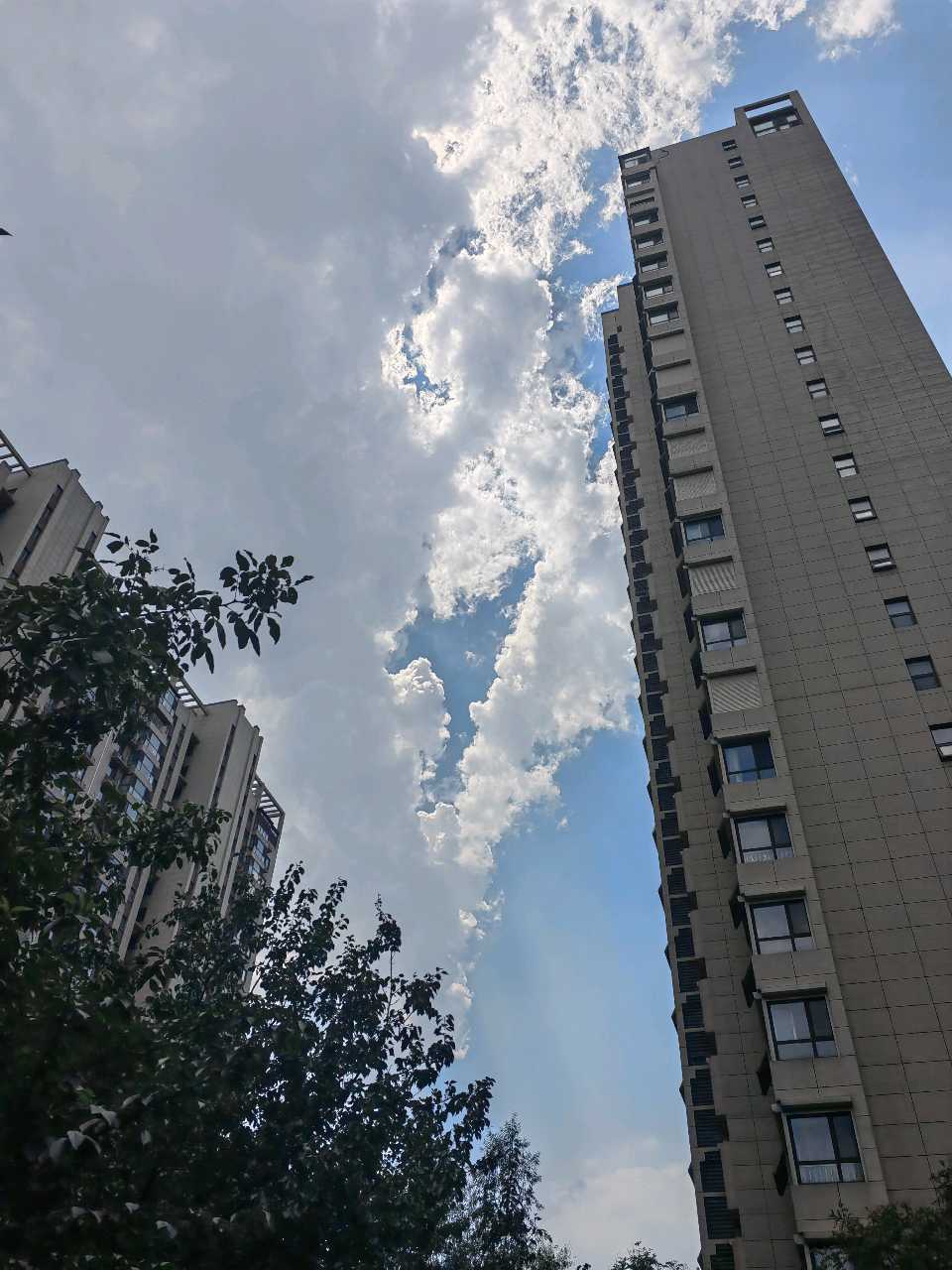 伏暑漫步随想（图10）