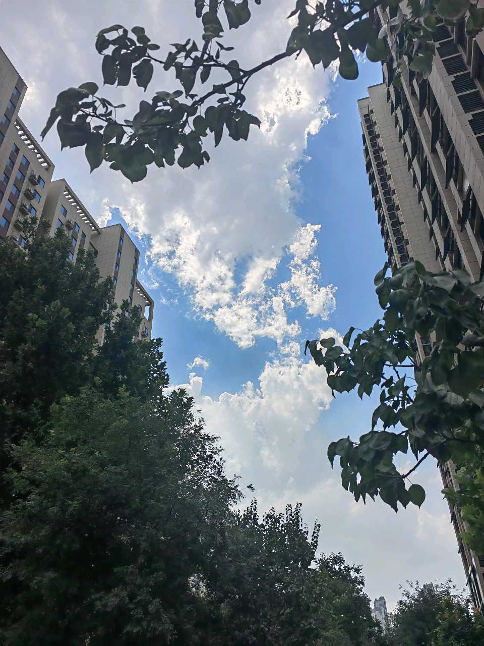 伏暑漫步随想（图6）