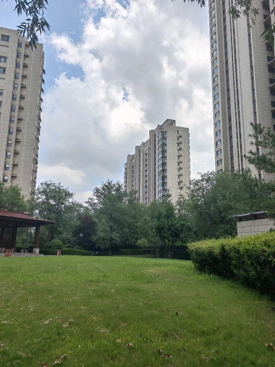 伏暑漫步随想（图5）