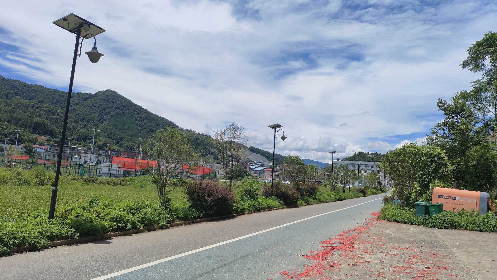 陈良珍:一个乡镇领导干部的“中医本色”(图5)