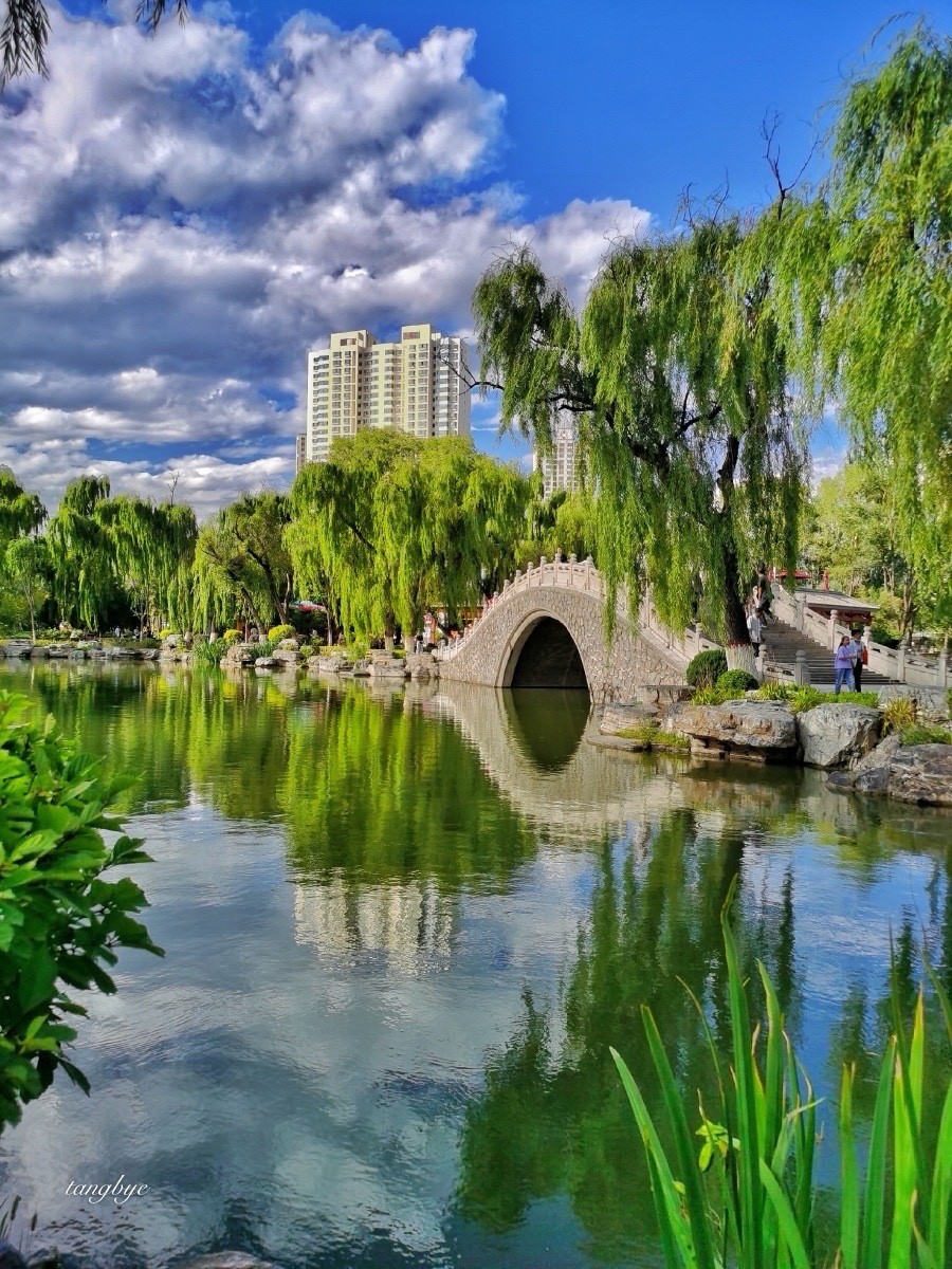 暮夏随想_赵正霞（青海）京津沪头条