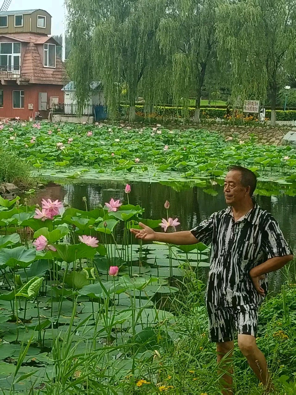 《中华好诗词》分享优秀作家诗人姚树学先生《赞九台新州夏日荷花五首》敬请雅鉴(图15)