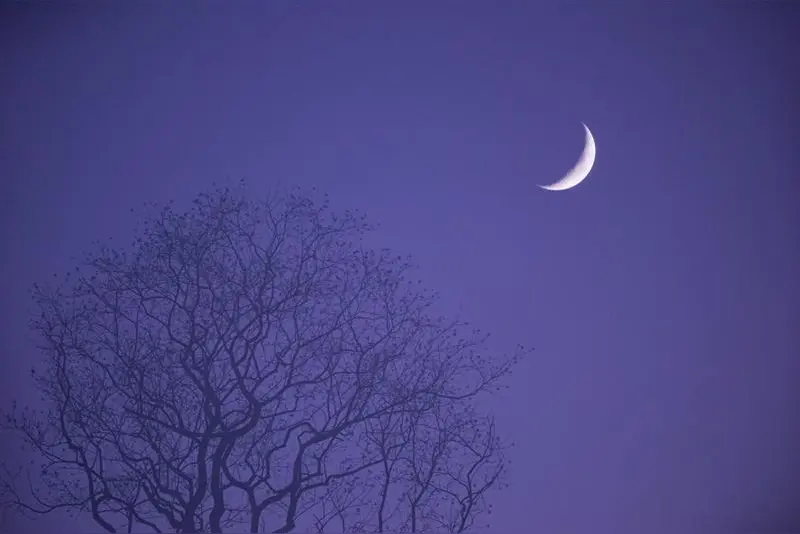微型散文诗《长夜逢夏》