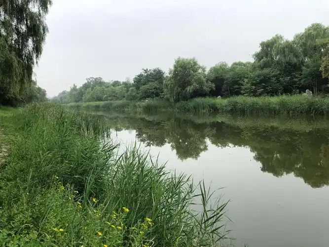 敬请欣赏||格律诗三首 作者:李晶华 主播:王茉莉（图3）