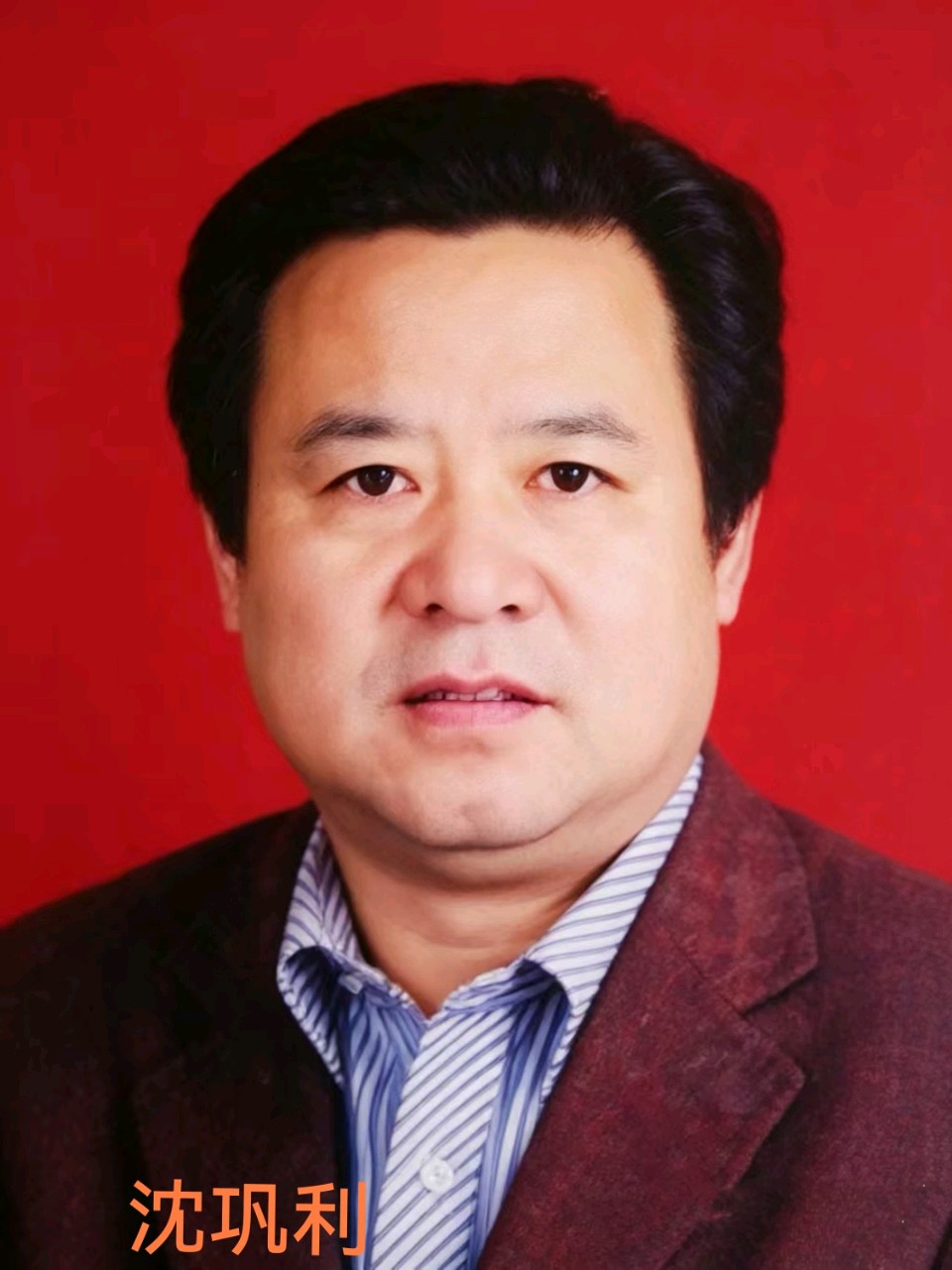 【乐天头条】文学社核心作家沈巩利先生精品//《文脉春秋》(图2)