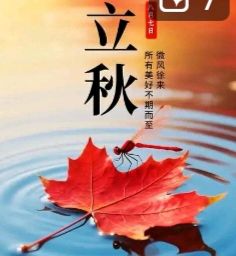夏未渐稳，秋初已至《丙午立秋》节气同题专刊【岭南文学诗词交流】614期