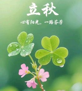 夏未渐稳，秋初已至《丙午立秋》节气同题专刊【岭南文学诗词交流】614期（图5）