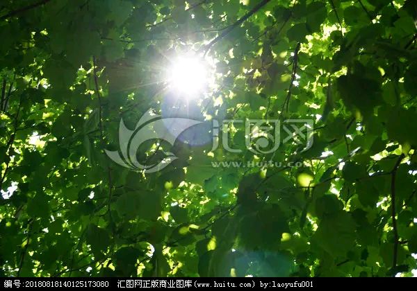 微型散文诗《伏天等候一叶秋》（图2）