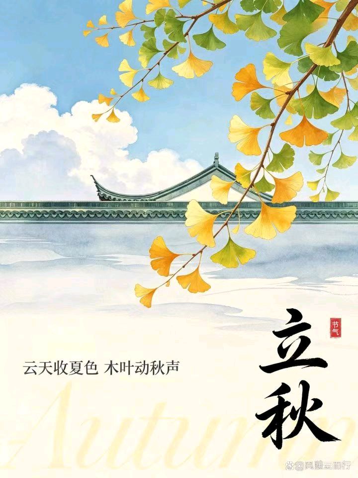 【荣耀中国】山东分社*综合刊第24期(图5)