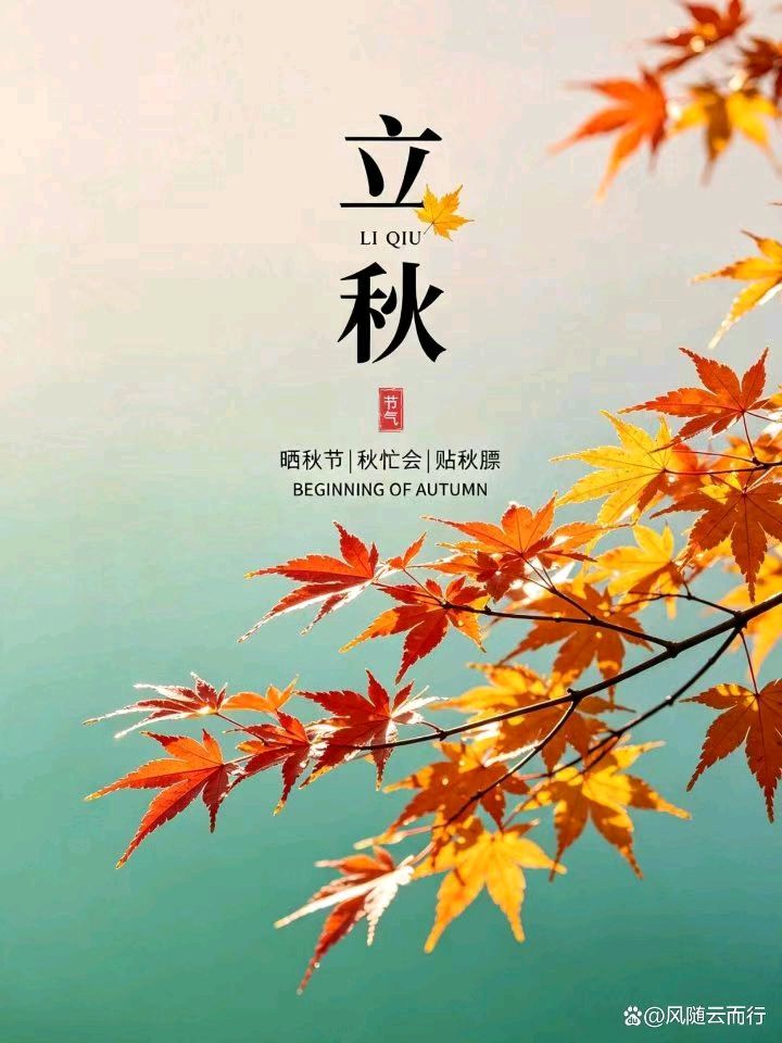 【荣耀中国】山东分社*综合刊第24期(图6)