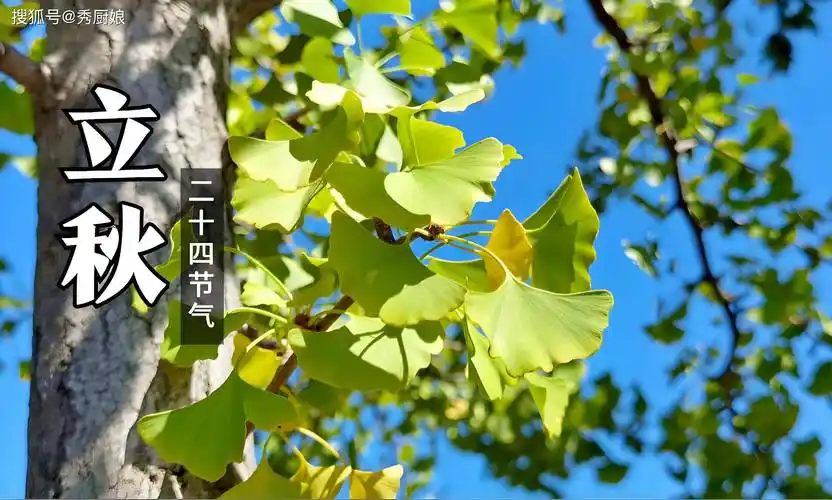 【名家精品】七律 立秋（下平十一尤）文/柳影居士万先瑾（图4）