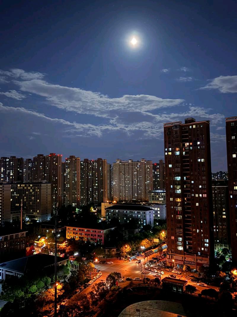 【新山东文学社】《如梦令.夏夜》作者/风鸽 主播/红叶（图5）