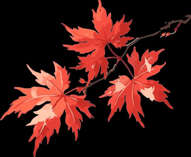 《五律：立秋感赋》文/于明华——山东诗人（图2）