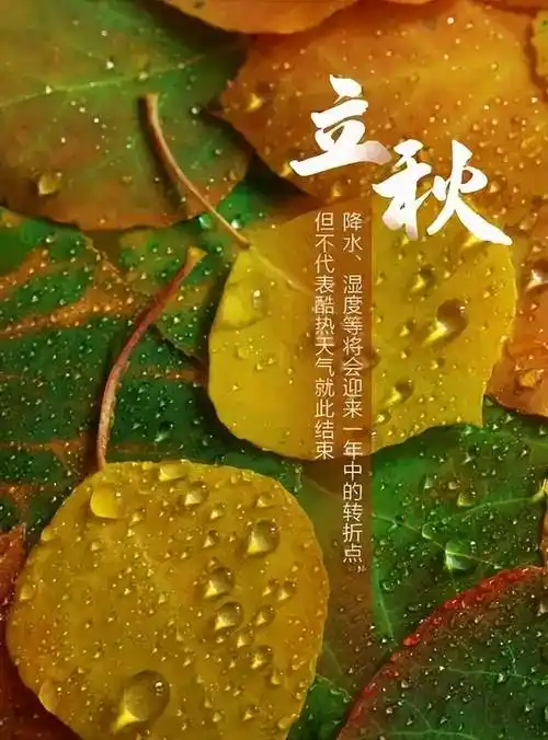 立秋有寄||巴彦诗协【1196】（图7）