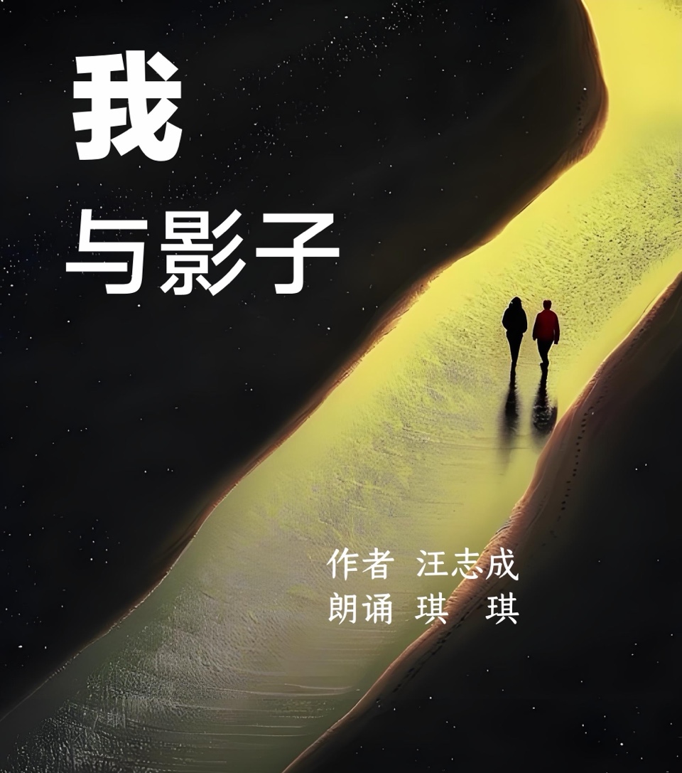 海外头条：汪志成《我与影子》朗诵：琪琪（图5）