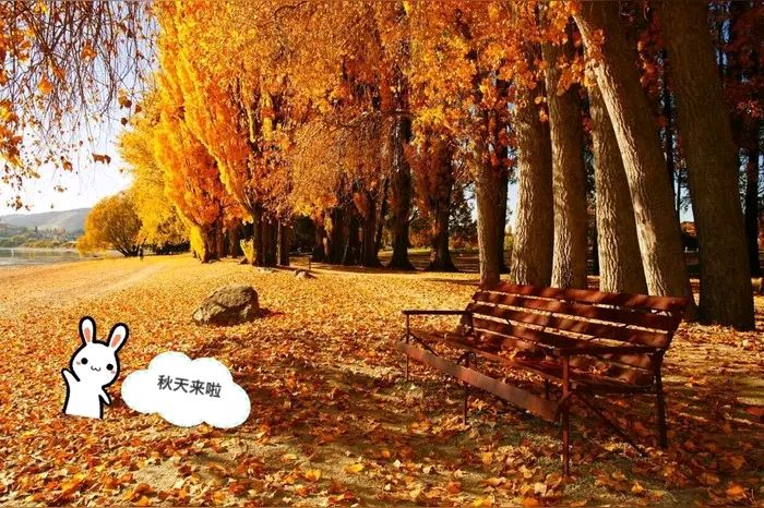 微型散文诗《秋的第一封信笺》（图3）