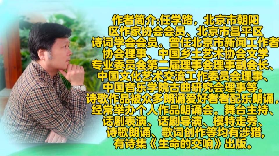 作者——任学路（新）