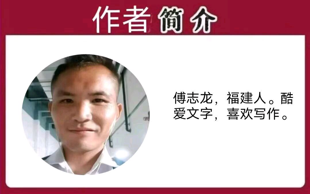 《傅志龙作品欣赏》主编/胡琴
