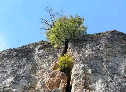 看磐石怎样开裂