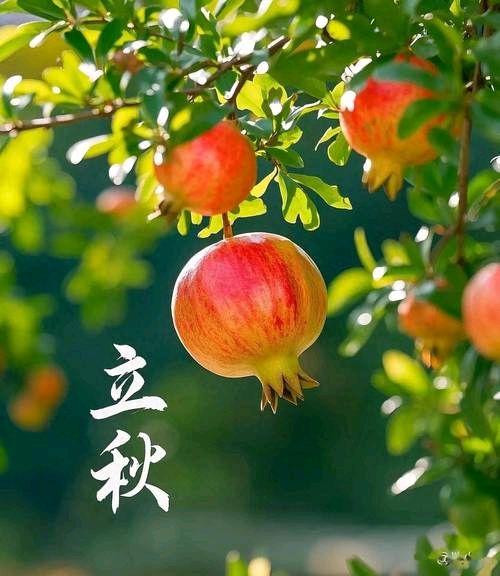 【北京头条】陈华林诗歌专辑042期（图11）