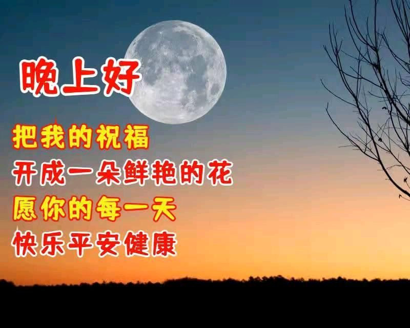 【中国诗人】文坛*优秀诗人何霖生诗词欣赏（图12）