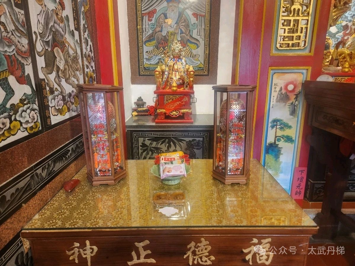 云水间 '水仙尊王' /梧闽(图16)