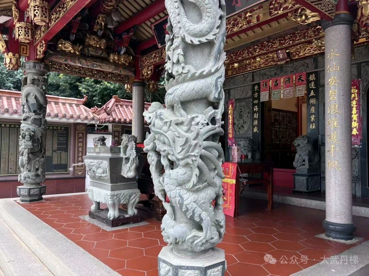 云水间 '水仙尊王' /梧闽(图88)