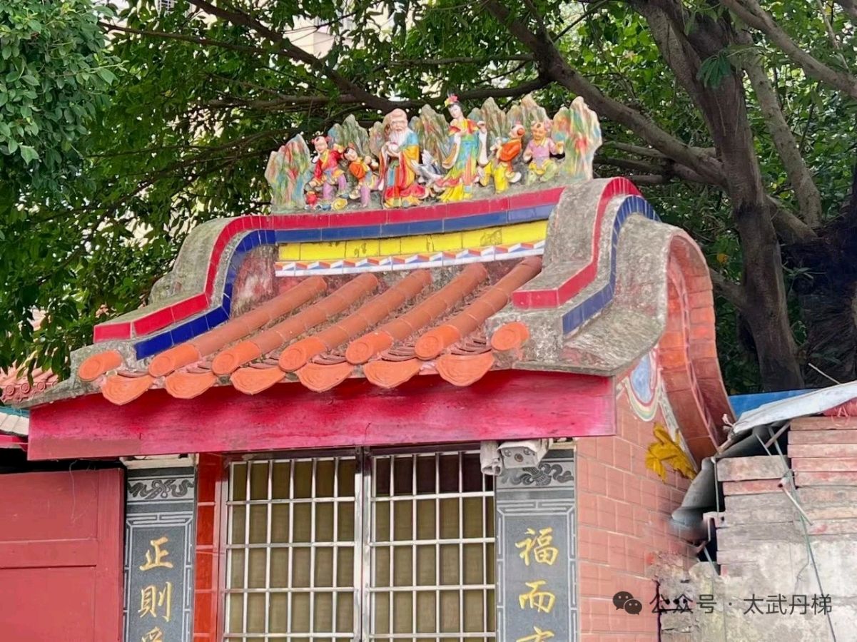 云水间 '水仙尊王' /梧闽(图90)